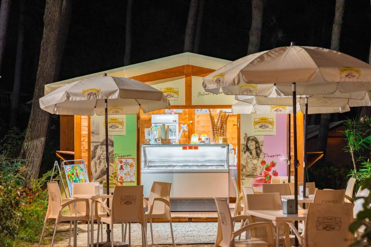 Holiday park Le Pianacce Camping Village 3*