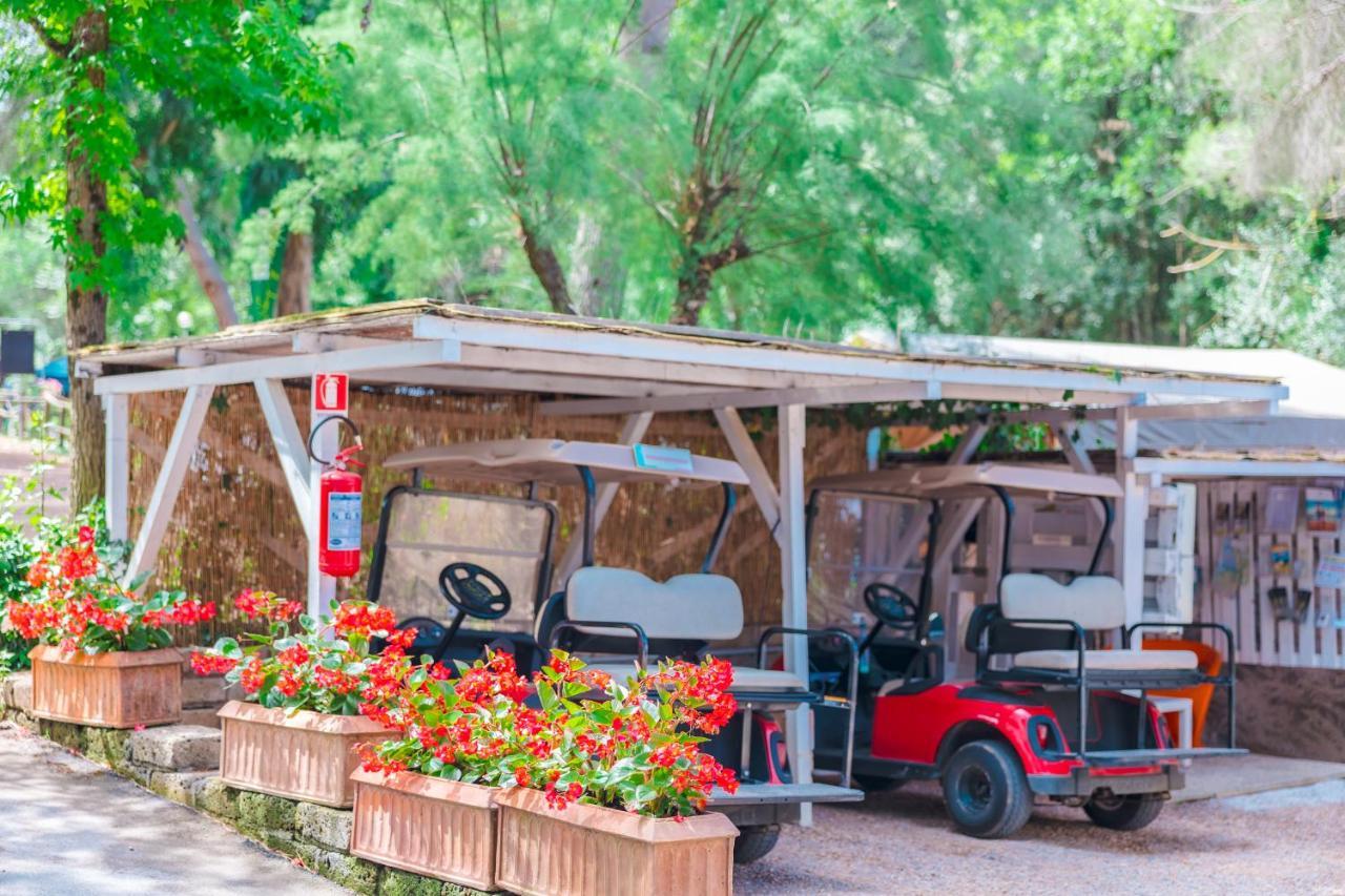 Le Pianacce Camping Village Vakantiepark Castagneto Carducci