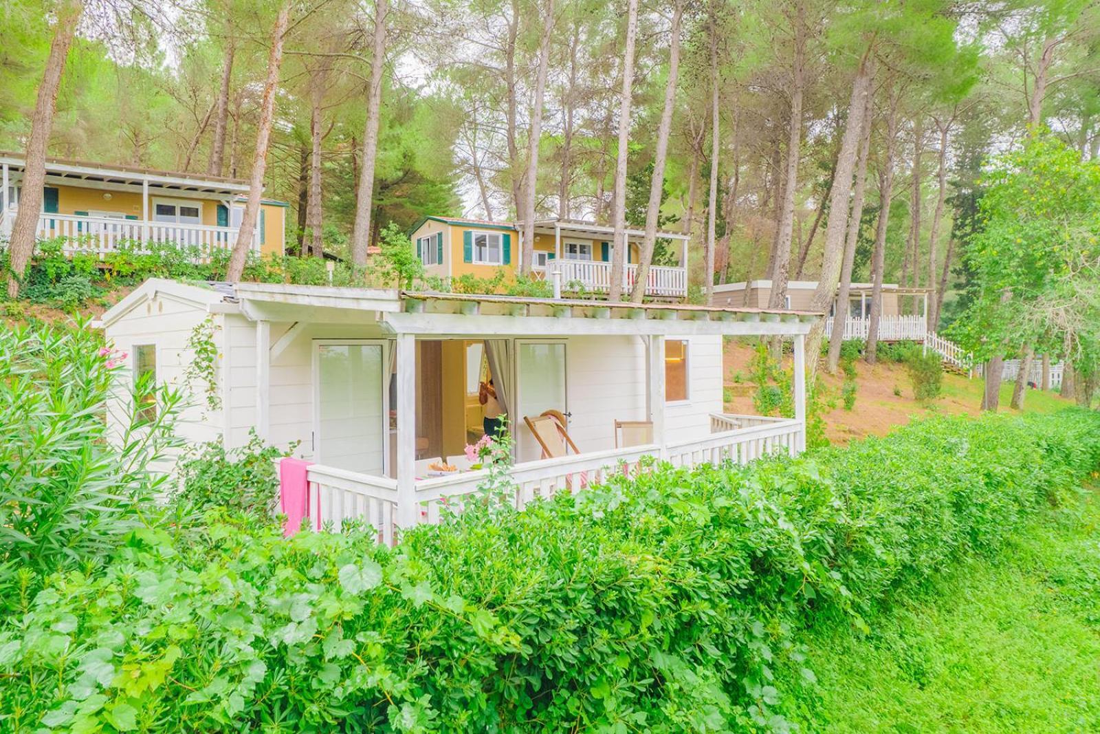 Holiday park Le Pianacce Camping Village 3*